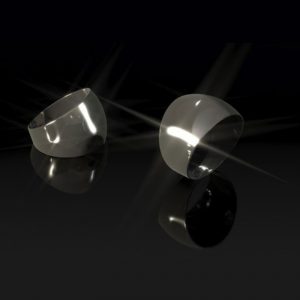 Anillo de Plata Panzón