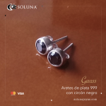"Gauss" Aretes de plata 999 con circón negro